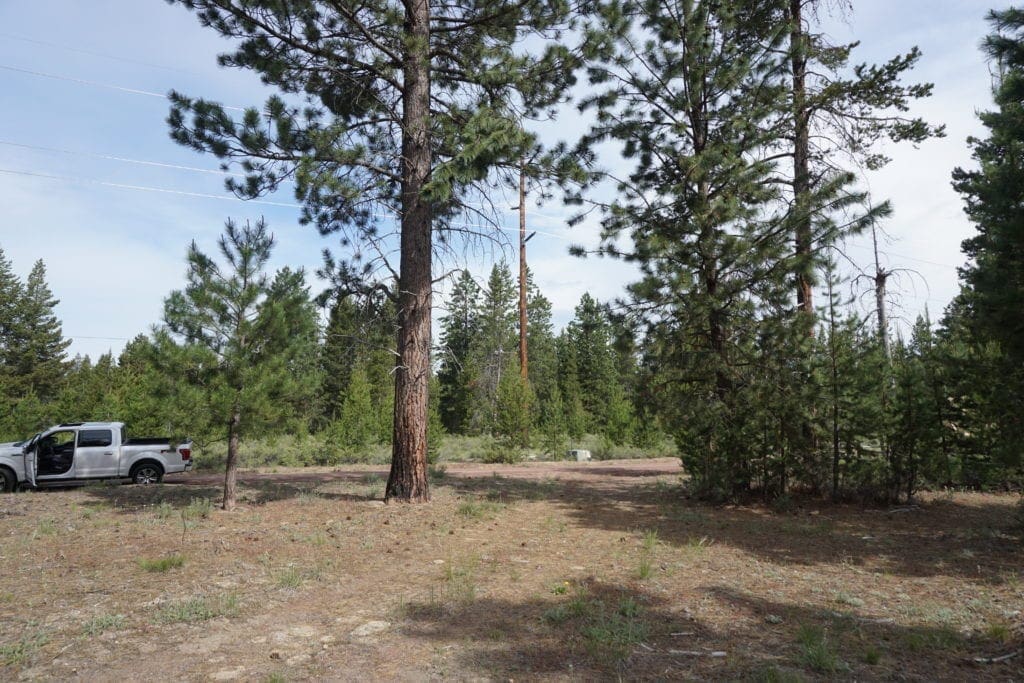 Large view of 1.00 Ac In Crescent Oregon! Treed Lot W/ Power & 20 X 30 Metal Building! Near BEND Photo 3