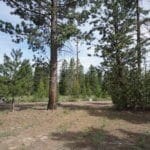 Thumbnail of 1.00 Ac In Crescent Oregon! Treed Lot W/ Power & 20 X 30 Metal Building! Near BEND Photo 3