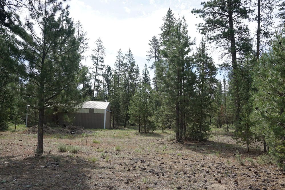 1.00 Ac In Crescent Oregon! Treed Lot W/ Power & 20 X 30 Metal Building! Near BEND photo 1