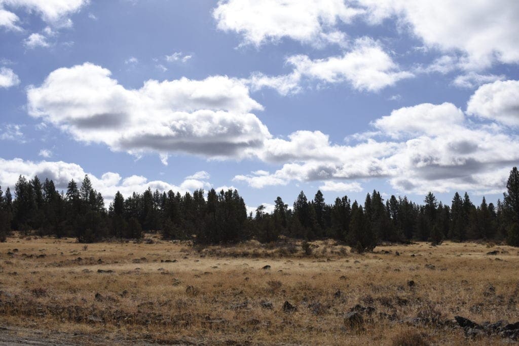 Large view of 2.34 Acre KFFE Highway 66 Unit Acreage with Timber and Buildable. Photo 24