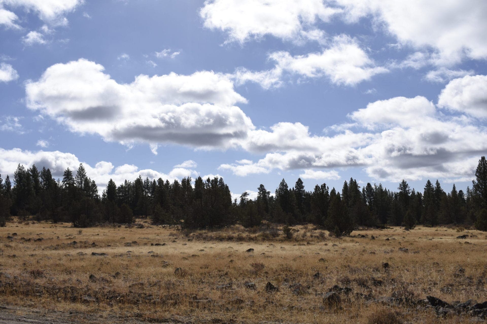 2.34 Acre KFFE Highway 66 Unit Acreage with Timber and Buildable. photo 24