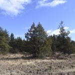 Thumbnail of 2.34 Acre KFFE Highway 66 Unit Acreage with Timber and Buildable. Photo 14