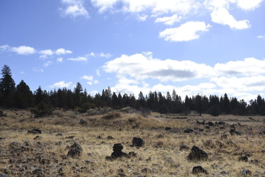 Large view of 2.34 Acre KFFE Highway 66 Unit Acreage with Timber and Buildable. Photo 23