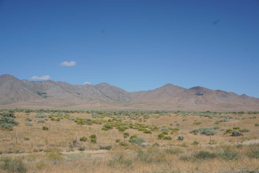 Large view of 1.50 Acre Commercial Mixed Uses lot on U.S. Highway 95 Photo 12