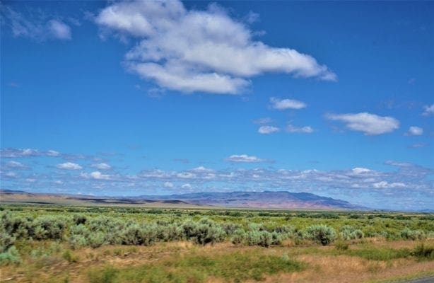 1.50 Acre Commercial Mixed Uses lot on U.S. Highway 95