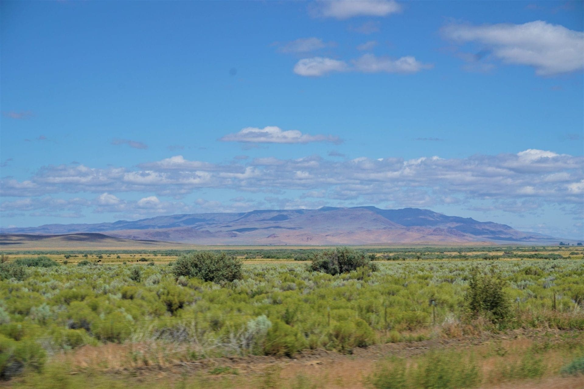 1.65 Acre Commercial Billboard parcel on U.S. Highway 95 near Oregon & Idaho photo 4