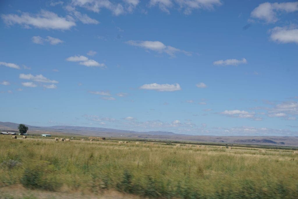 Large view of 1.65 Acre Commercial Billboard parcel on U.S. Highway 95 near Oregon & Idaho Photo 16