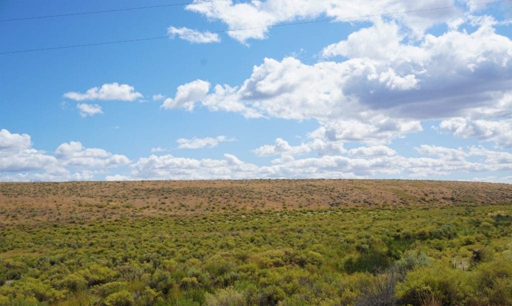 Large view of Secluded 20.51 Acre Oregon Land! Water, Wildlife, TWO CREEKS Photo 13