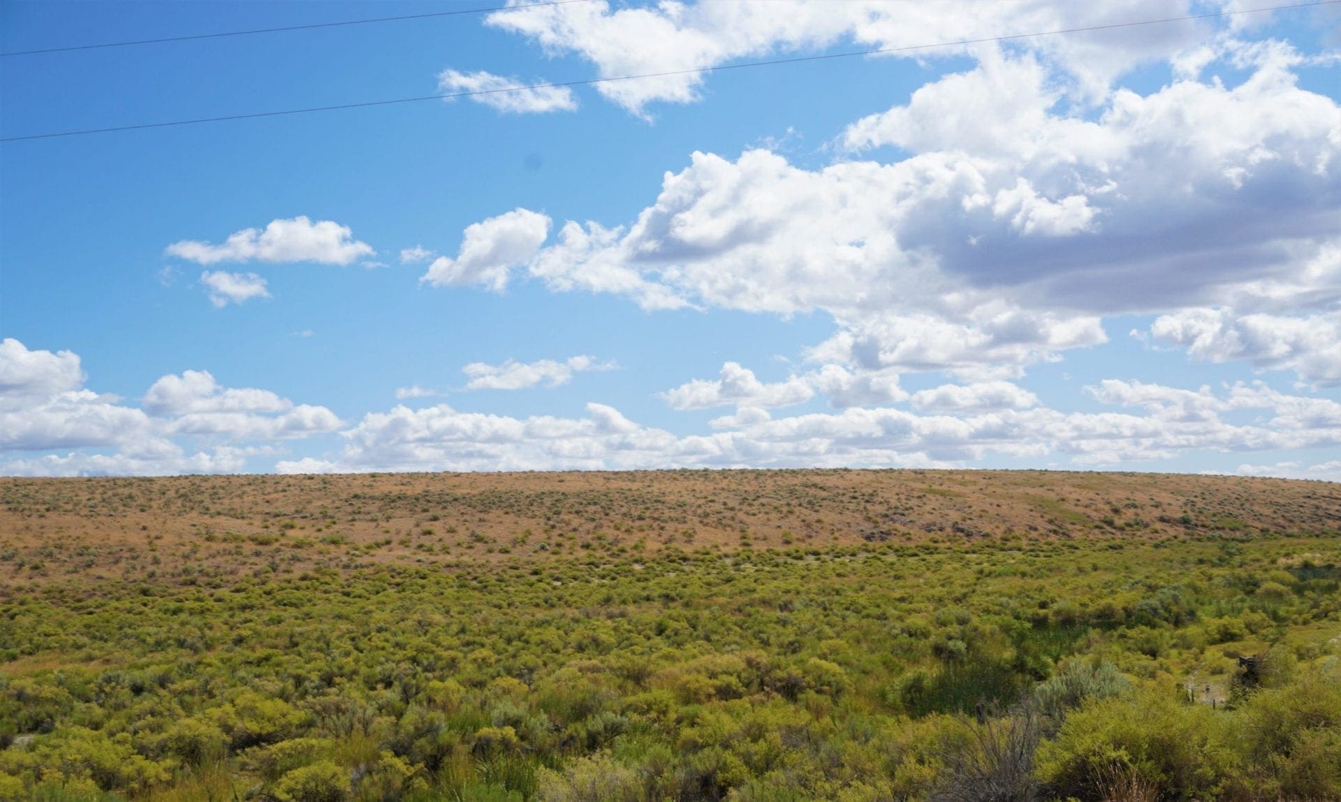 Secluded 20.51 Acre Oregon Land! Water, Wildlife, TWO CREEKS photo 13