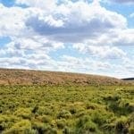 Thumbnail of Secluded 20.51 Acre Oregon Land! Water, Wildlife, TWO CREEKS Photo 15