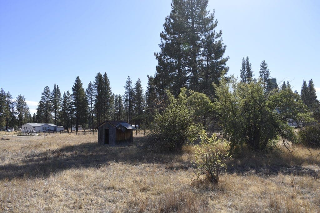 Large view of Great Building Lot in TOWN OF SPRAGUE RIVER WITH SHACK, TREES AND LIVE WATER SPICKET. Photo 22