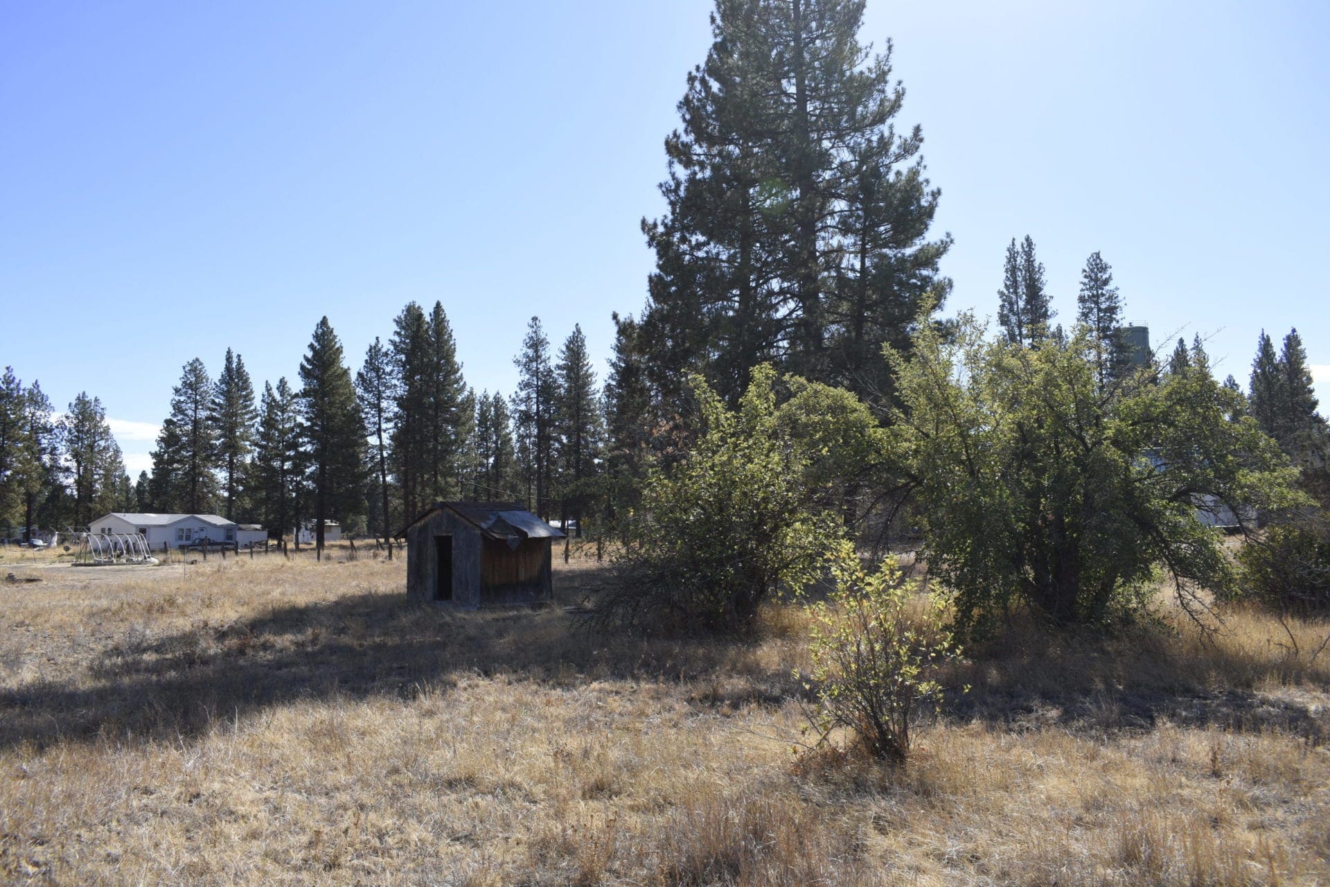 Great Building Lot in TOWN OF SPRAGUE RIVER WITH SHACK, TREES AND LIVE WATER SPICKET. photo 22