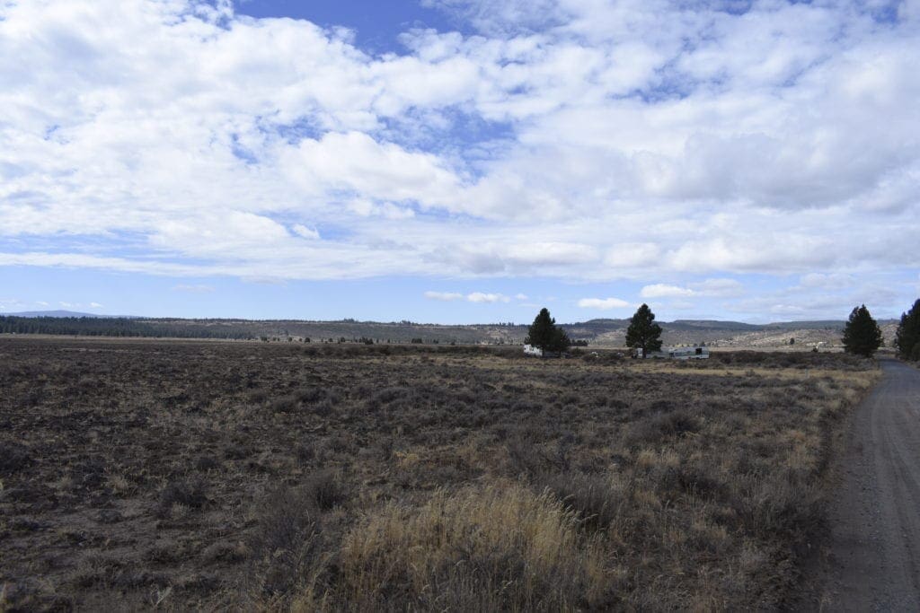 Large view of 36 Acres Central Oregon Near California TWO Parcels Separated by County Road Photo 28
