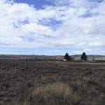 Thumbnail of 36 Acres Central Oregon Near California TWO Parcels Separated by County Road Photo 28