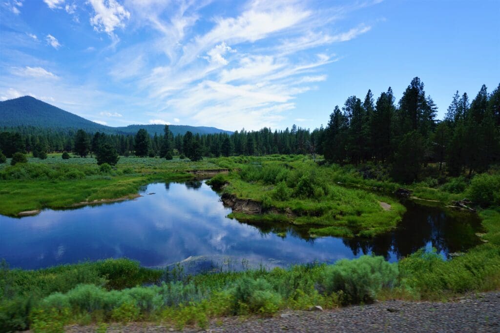 Large view of 4.79 ACRES IN KLAMATH COUNTY, OREGON ~ GORGEOUS MINI RANCH IN THE MOUNTAINS WITH TREES, VIEWS AND WIDE OPEN SPACES Photo 4
