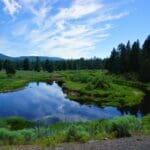 Thumbnail of 4.79 ACRES IN KLAMATH COUNTY, OREGON ~ GORGEOUS MINI RANCH IN THE MOUNTAINS WITH TREES, VIEWS AND WIDE OPEN SPACES Photo 4