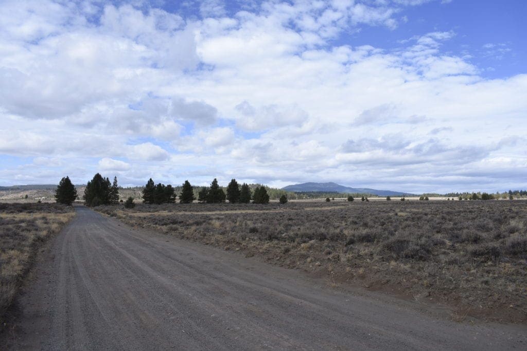 Large view of 36 Acres Central Oregon Near California TWO Parcels Separated by County Road Photo 29