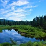 Thumbnail of 10.16 MAGICAL ACRES IN KLAMATH COUNTY OREGON – TIMBERED NEAR NATIONAL FOREST AND CALIFORNIA BORDER Photo 10