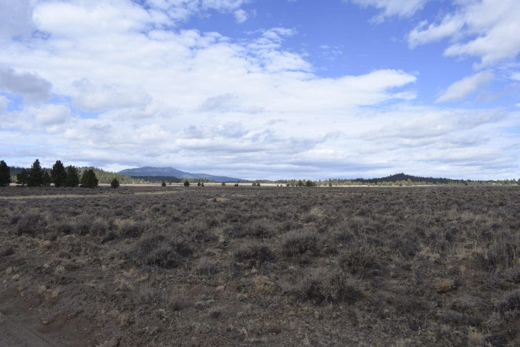 Large view of 36 Acres Central Oregon Near California TWO Parcels Separated by County Road Photo 30