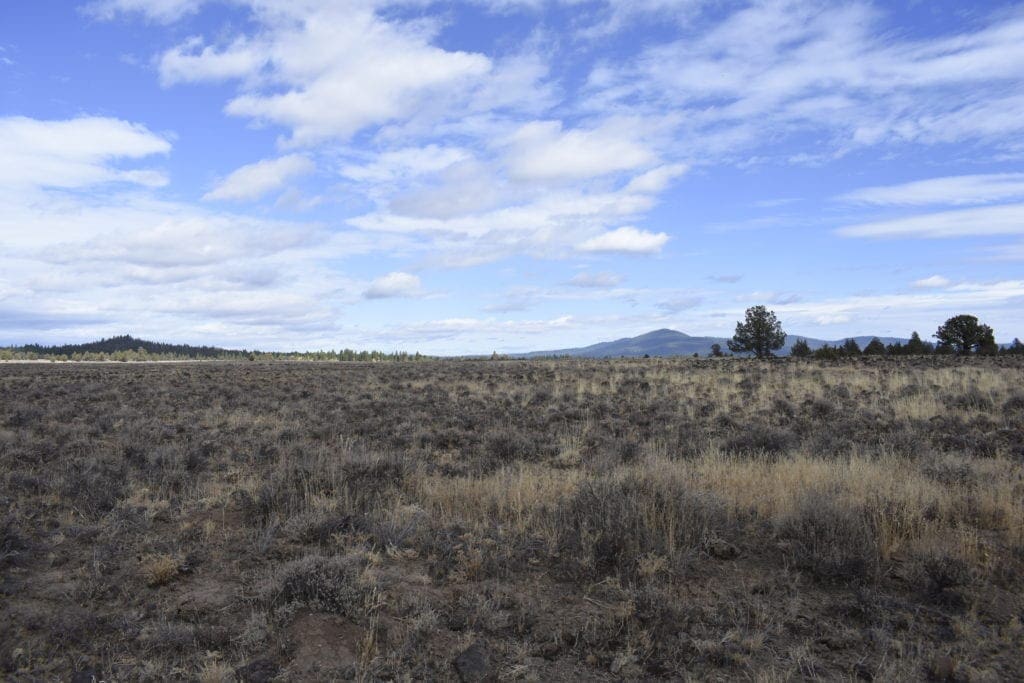 Large view of 36 Acres Central Oregon Near California TWO Parcels Separated by County Road Photo 31