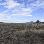 Thumbnail of 36 Acres Central Oregon Near California TWO Parcels Separated by County Road Photo 31
