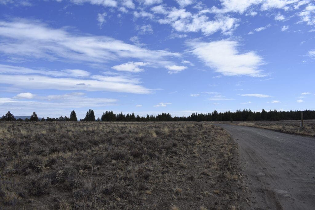 Large view of 36 Acres Central Oregon Near California TWO Parcels Separated by County Road Photo 32
