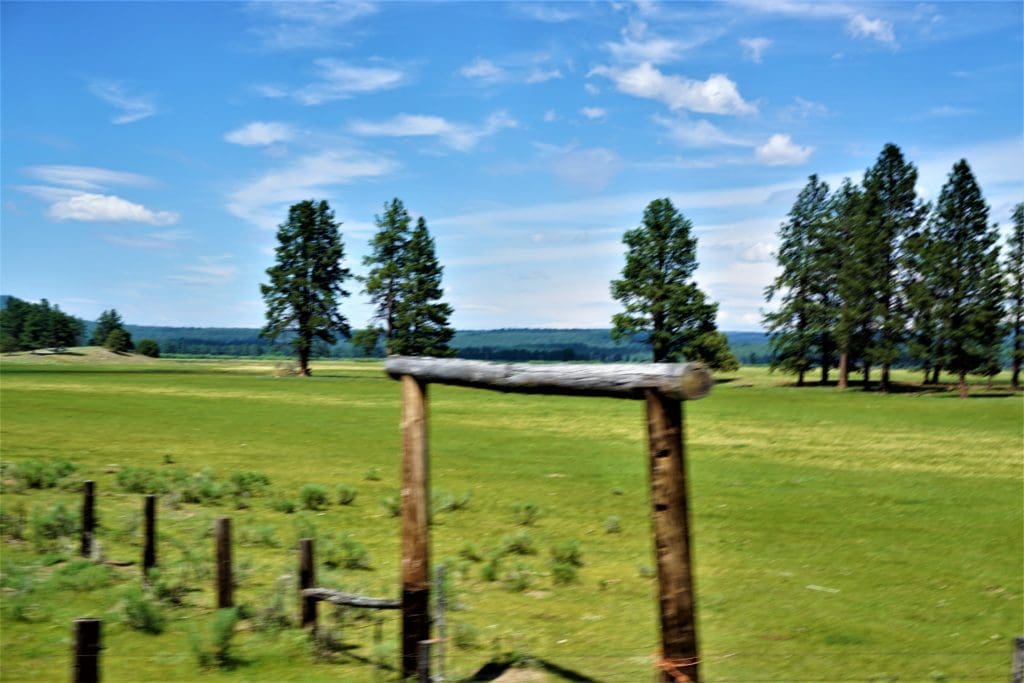Large view of 1.57 ACRES IN BEAUTIFUL OREGON PINES KLAMATH COUNTY, OREGON ~ GORGEOUS VIEWS & TONS OF WILDLIFE! Photo 1