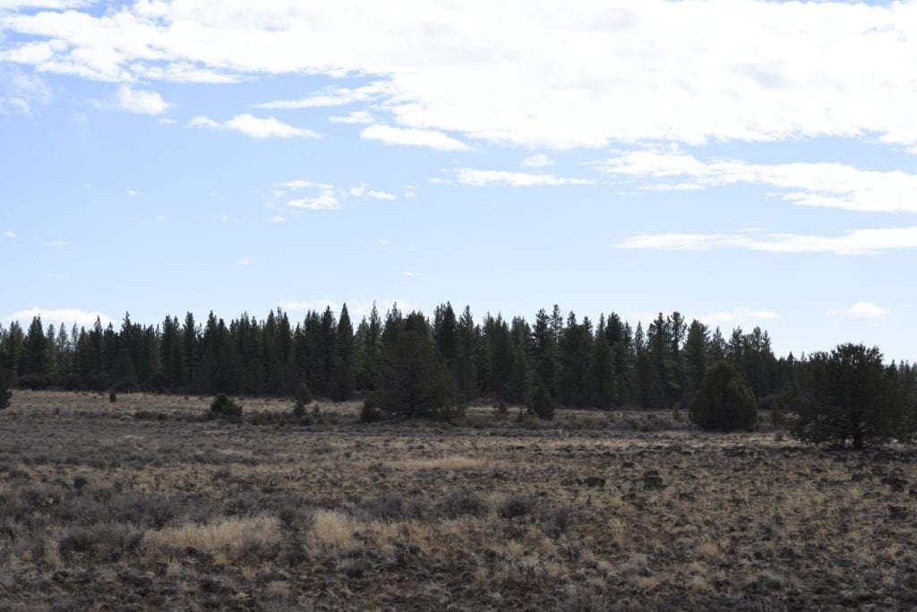 Large view of 36 Acres Central Oregon Near California TWO Parcels Separated by County Road Photo 35