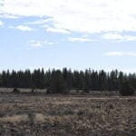 Thumbnail of 36 Acres Central Oregon Near California TWO Parcels Separated by County Road Photo 35