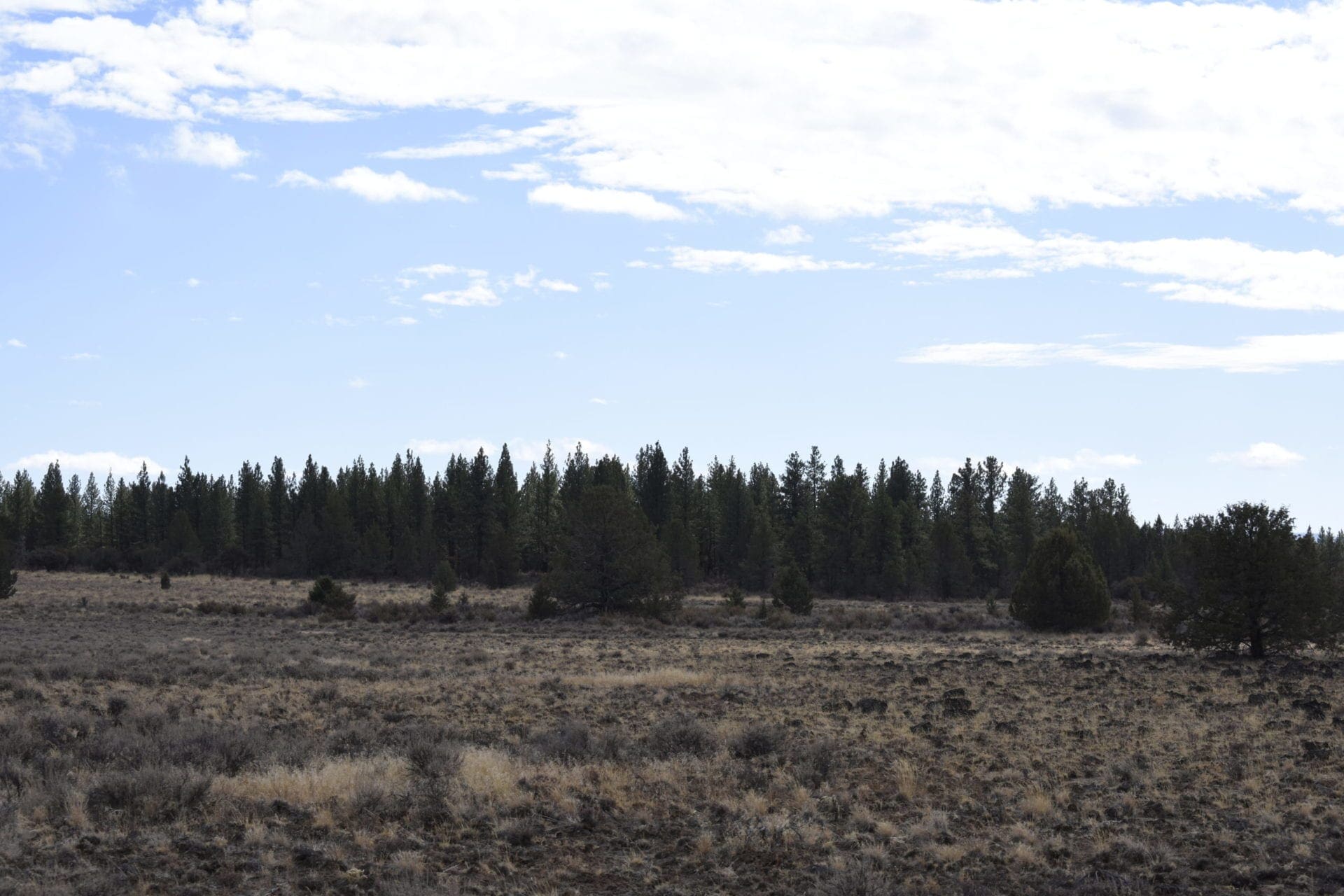 36 Acres Central Oregon Near California TWO Parcels Separated by County Road photo 35