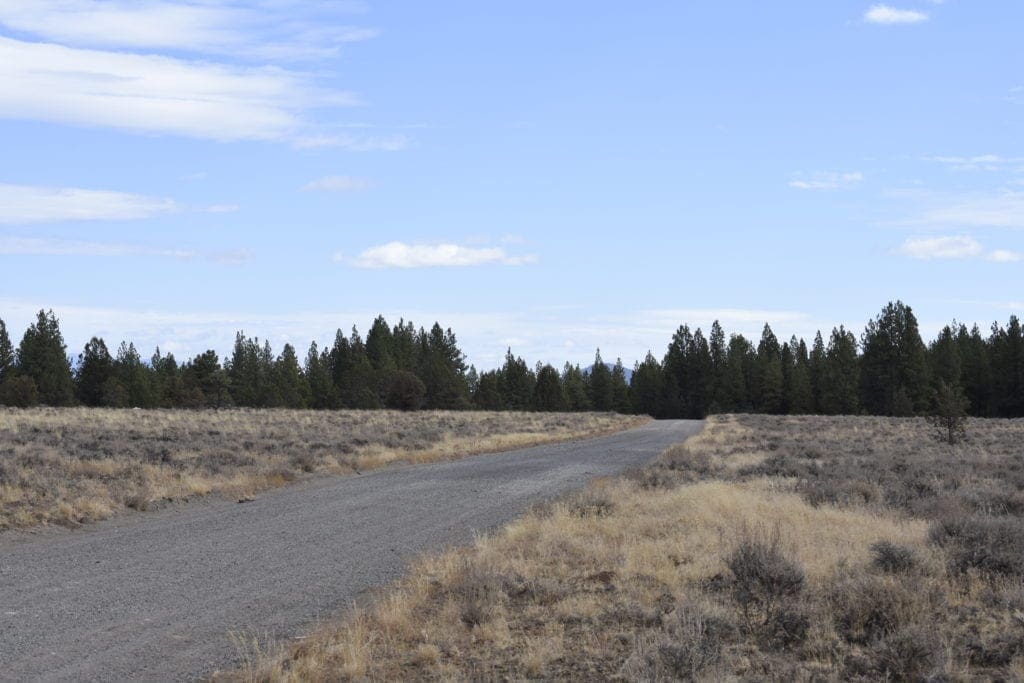 Large view of 36 Acres Central Oregon Near California TWO Parcels Separated by County Road Photo 36