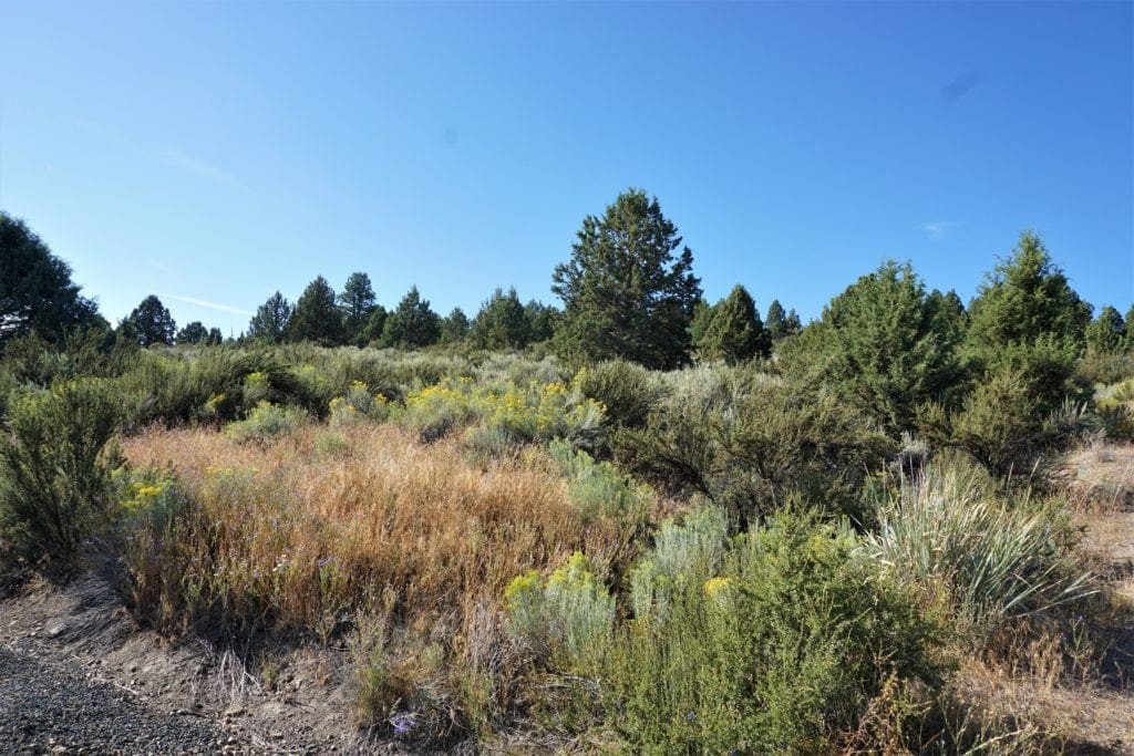 Large view of Beautiful 3.11 Acres in Klamath County, Oregon ~ Fabulous River & Valley Views! Photo 16