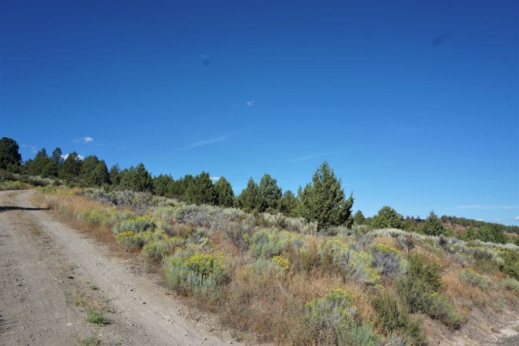 Large view of Beautiful 3.11 Acres in Klamath County, Oregon ~ Fabulous River & Valley Views! Photo 17