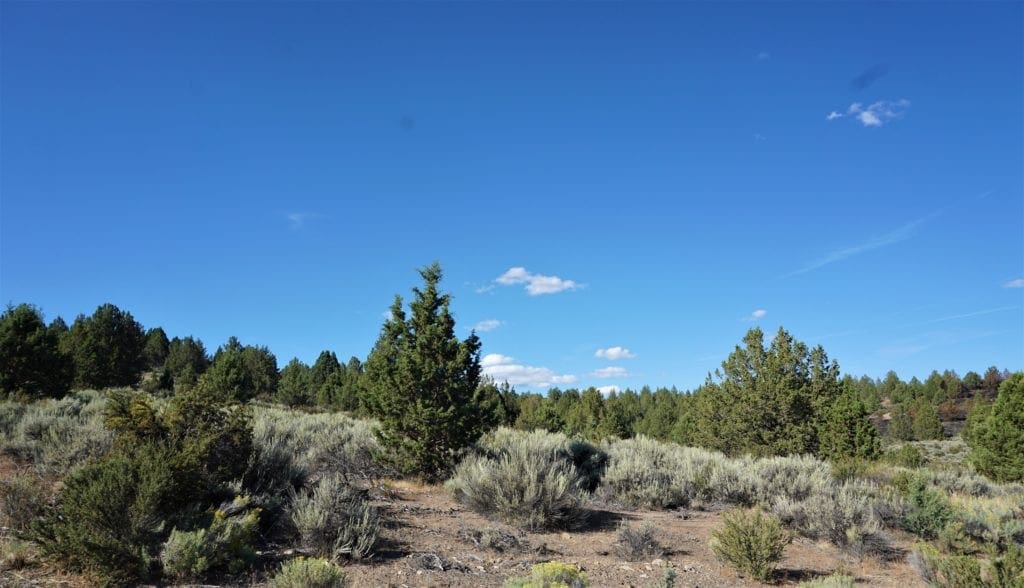 Large view of Beautiful 3.11 Acres in Klamath County, Oregon ~ Fabulous River & Valley Views! Photo 18