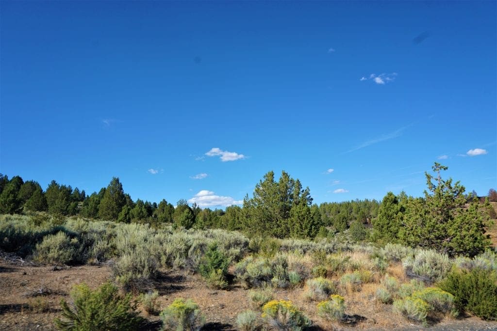 Large view of Beautiful 3.11 Acres in Klamath County, Oregon ~ Fabulous River & Valley Views! Photo 8