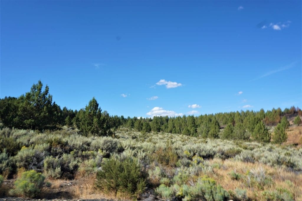 Large view of Beautiful 3.11 Acres in Klamath County, Oregon ~ Fabulous River & Valley Views! Photo 7