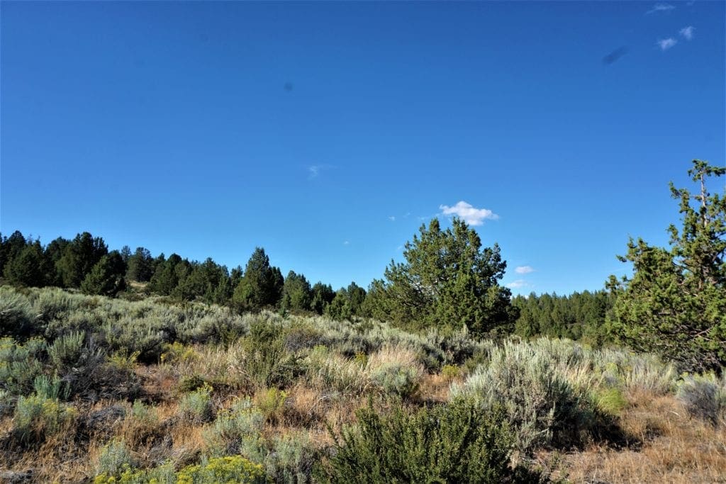 Large view of Beautiful 3.11 Acres in Klamath County, Oregon ~ Fabulous River & Valley Views! Photo 5