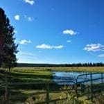 Thumbnail of 36 Acres Central Oregon Near California TWO Parcels Separated by County Road Photo 24