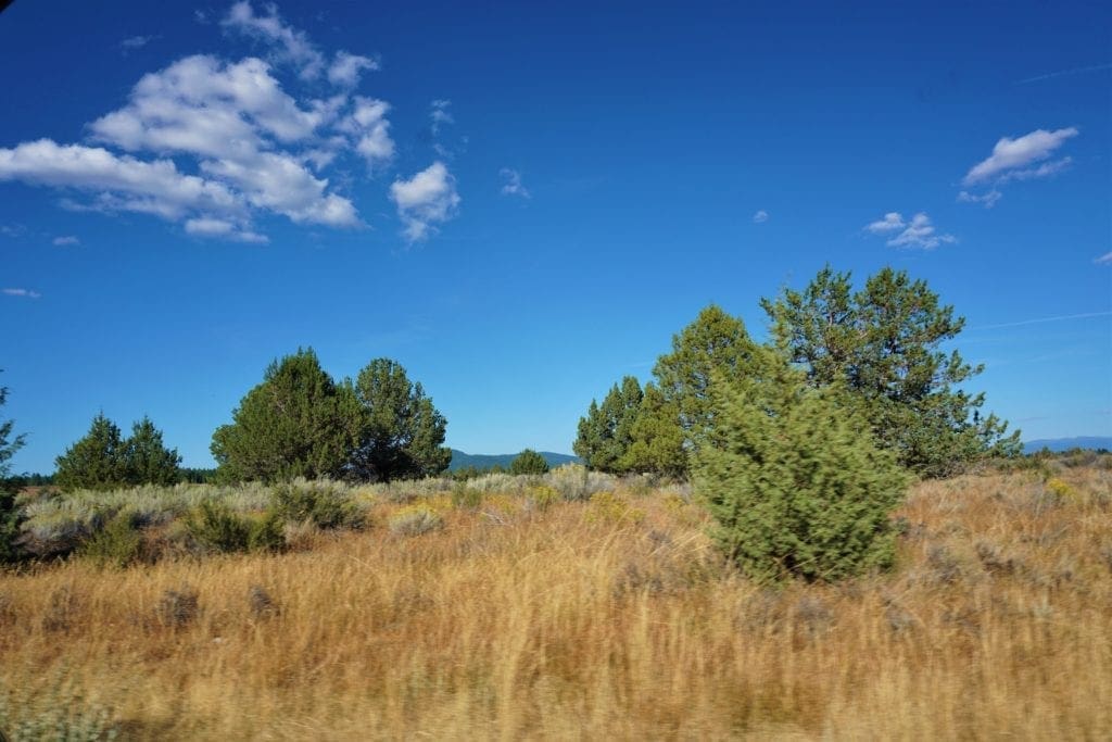Large view of 36 Acres Central Oregon Near California TWO Parcels Separated by County Road Photo 1