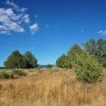 Thumbnail of 36 Acres Central Oregon Near California TWO Parcels Separated by County Road Photo 1