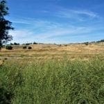 Thumbnail of .74 Acre Building Parcel in Shadow Hills, City of Klamath Falls, Oregon Photo 11