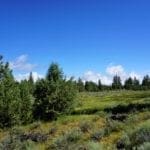 Thumbnail of 11.31 Acre Lot In Klamath County that backs Fremont-Winema National Forest! Photo 3