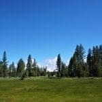Thumbnail of 11.31 Acre Lot In Klamath County that backs Fremont-Winema National Forest! Photo 2
