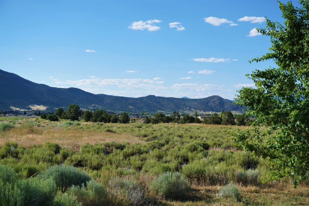 Large view of 6 LOTS IN THE OLD HISTORIC TOWN OF CHERRY CREEK, NEVADA ~ TREED, POWER, ROAD AND MILLION DOLLAR VIEWS Photo 15