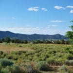 Thumbnail of 6 LOTS IN THE OLD HISTORIC TOWN OF CHERRY CREEK, NEVADA ~ TREED, POWER, ROAD AND MILLION DOLLAR VIEWS Photo 15