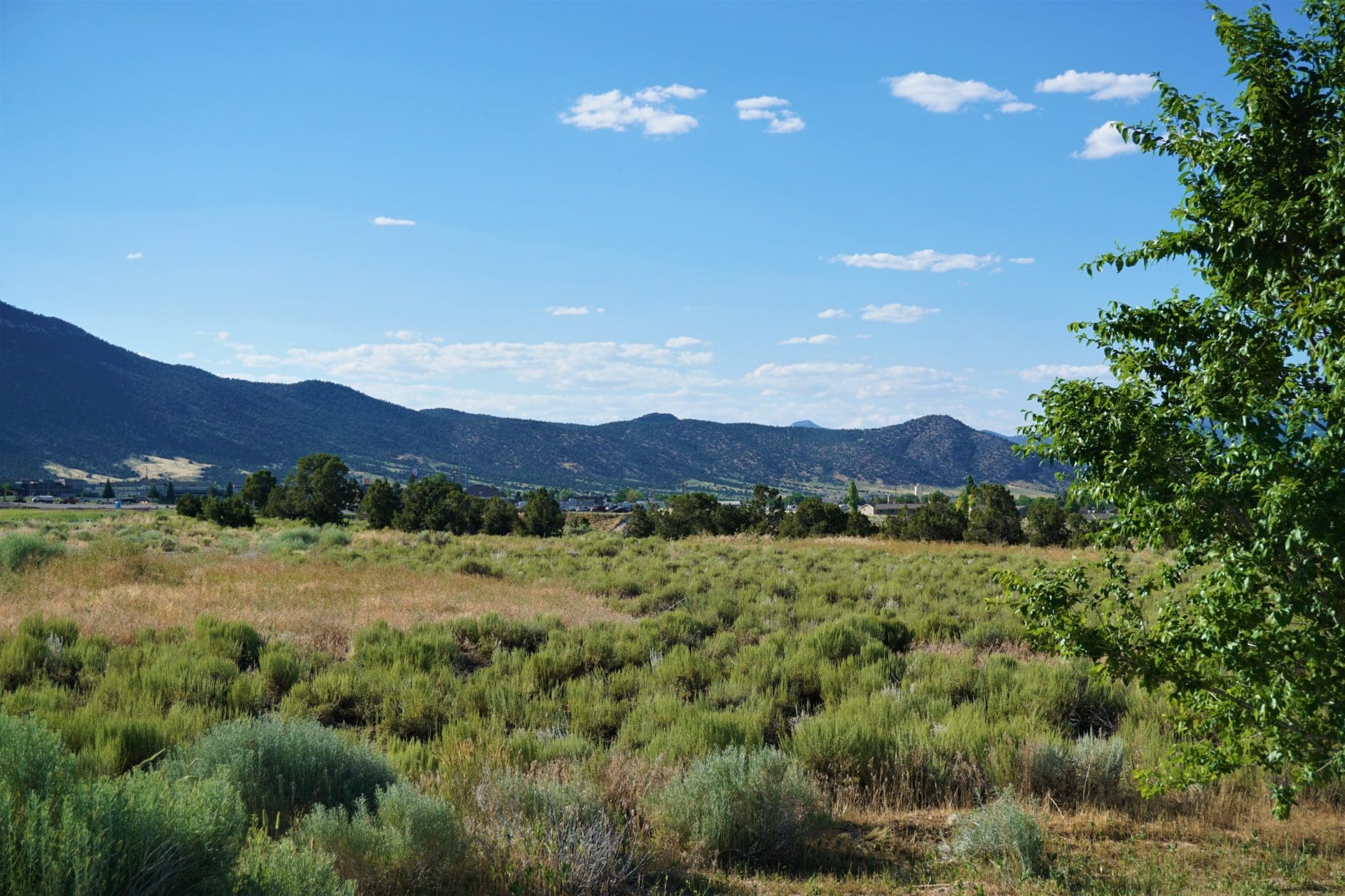 6 LOTS IN THE OLD HISTORIC TOWN OF CHERRY CREEK, NEVADA ~ TREED, POWER, ROAD AND MILLION DOLLAR VIEWS photo 15