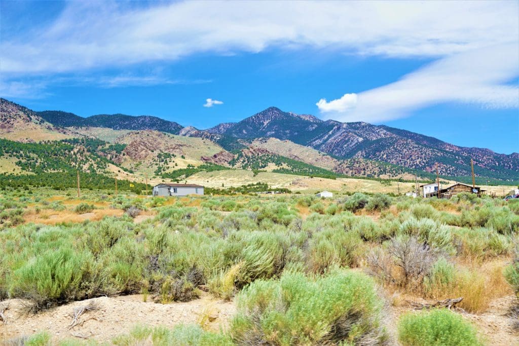 Large view of 6 LOTS IN THE OLD HISTORIC TOWN OF CHERRY CREEK, NEVADA ~ TREED, POWER, ROAD AND MILLION DOLLAR VIEWS Photo 1