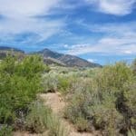 Thumbnail of 6 LOTS IN THE OLD HISTORIC TOWN OF CHERRY CREEK, NEVADA ~ TREED, POWER, ROAD AND MILLION DOLLAR VIEWS Photo 14