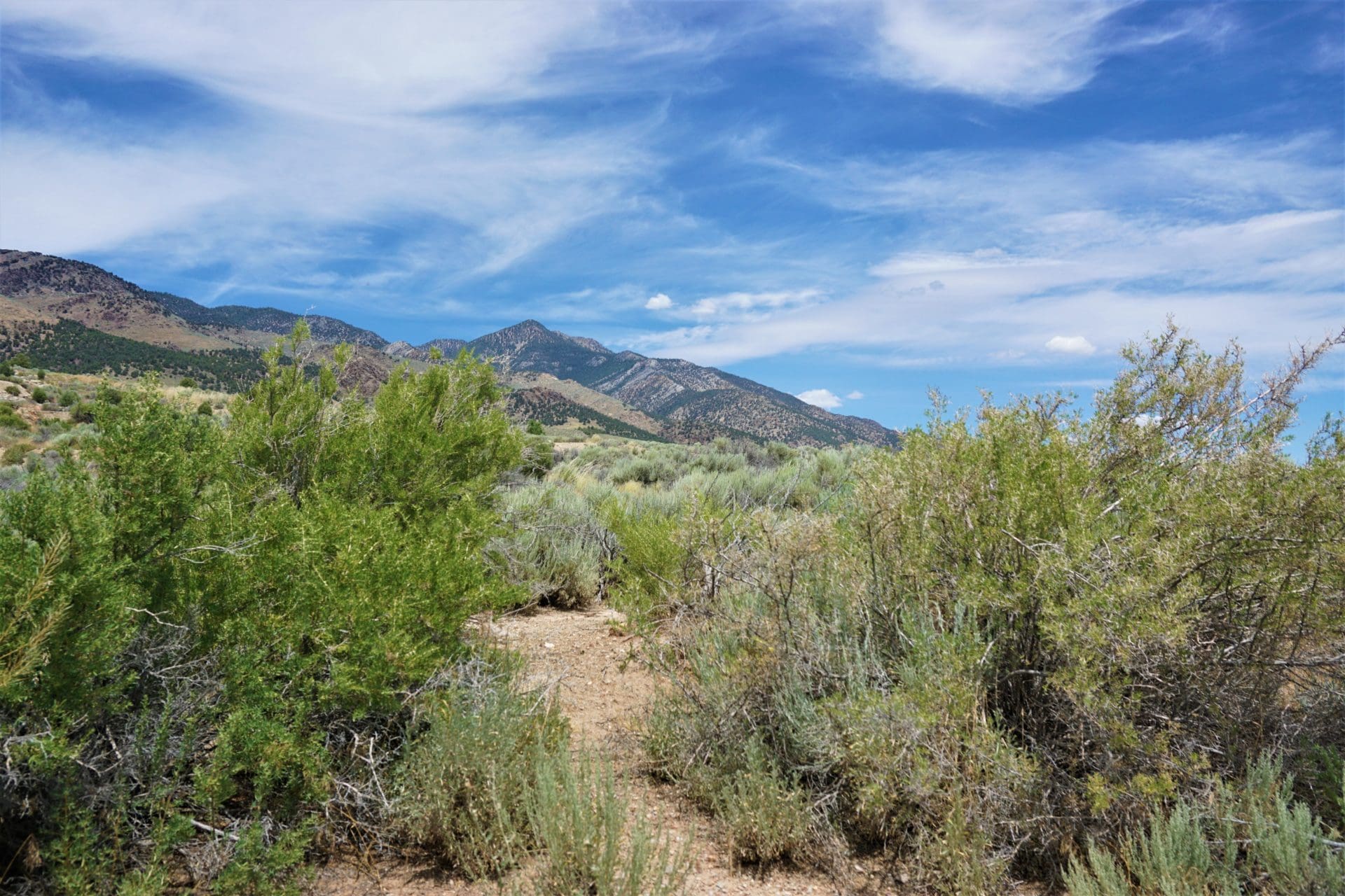 6 LOTS IN THE OLD HISTORIC TOWN OF CHERRY CREEK, NEVADA ~ TREED, POWER, ROAD AND MILLION DOLLAR VIEWS photo 14