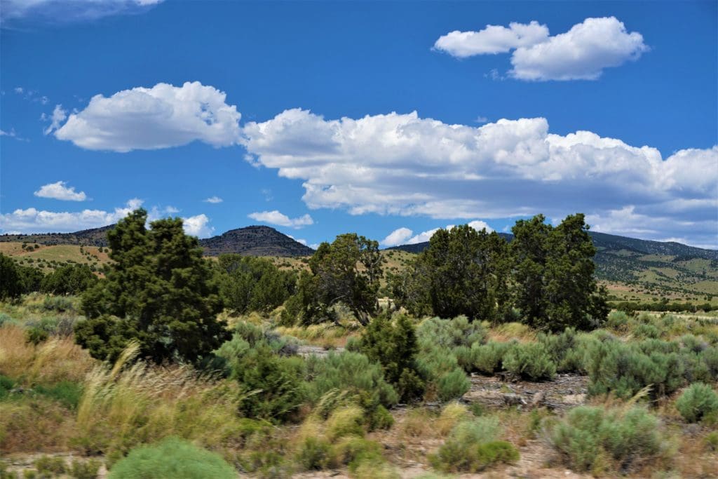 Large view of 6 LOTS IN THE OLD HISTORIC TOWN OF CHERRY CREEK, NEVADA ~ TREED, POWER, ROAD AND MILLION DOLLAR VIEWS Photo 17